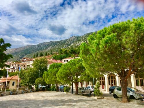 Delfoi Apartment | Delphi celebrity v i p the navel of the Earth, CENTER-DELPHI-penthouse galaxy&sky panoramic view, harmony&YOGA