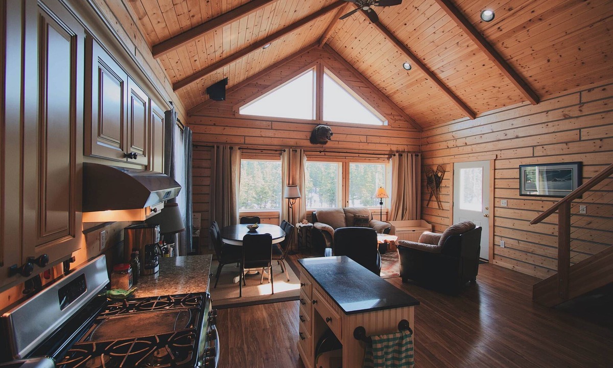Healy Cabin | Denali Bear Cabin w/Hot Tub, Entire Cabin, Private, 3 beds