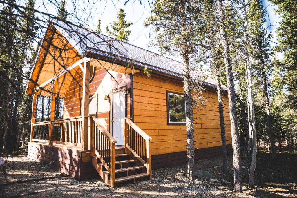 Healy House | Denali Wild Stay - Redfox Cabin, Free Wifi, private, sleep 6