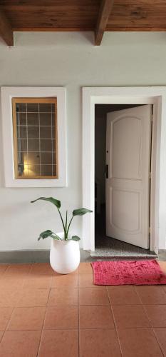 Concepcion Apartment | Departamento Concepcion Tucumán
