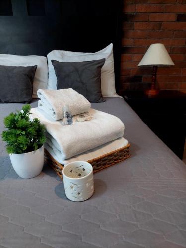 Puebla Apartment | Departamento en Cholula Pue La Pirámide