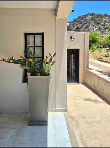 Chilecito Apartment | Departamento Las Valentinas
