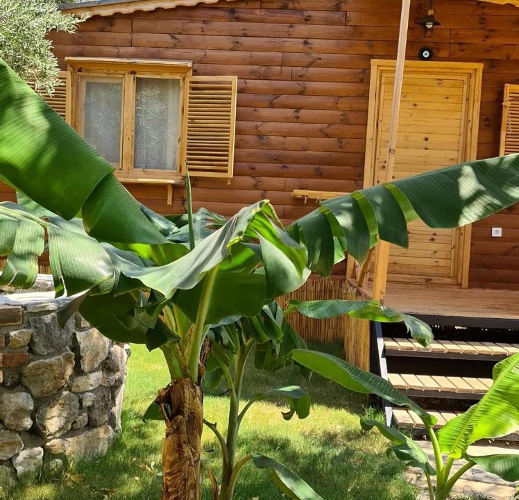 Mesudiye Apartment | Derin Taş-Bungalow