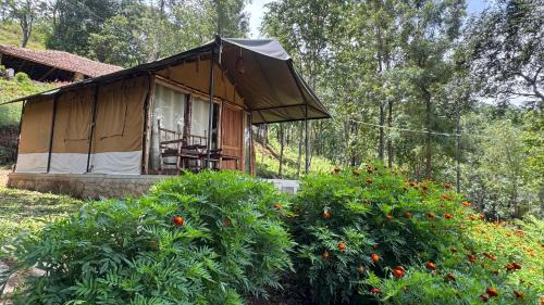 Devikolam Other | Deshadan Jungle