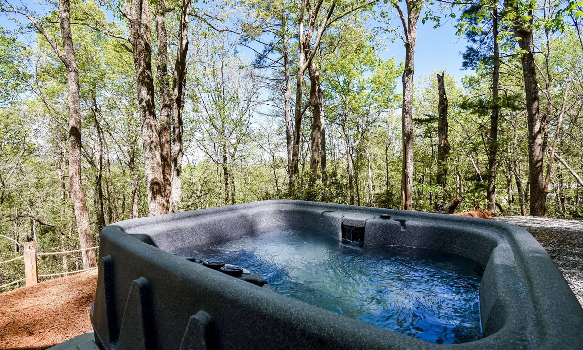 Clarkesville Cabin | Designer hideaway in secluded location w/ amazing mountain-forest-view-Dogs ok