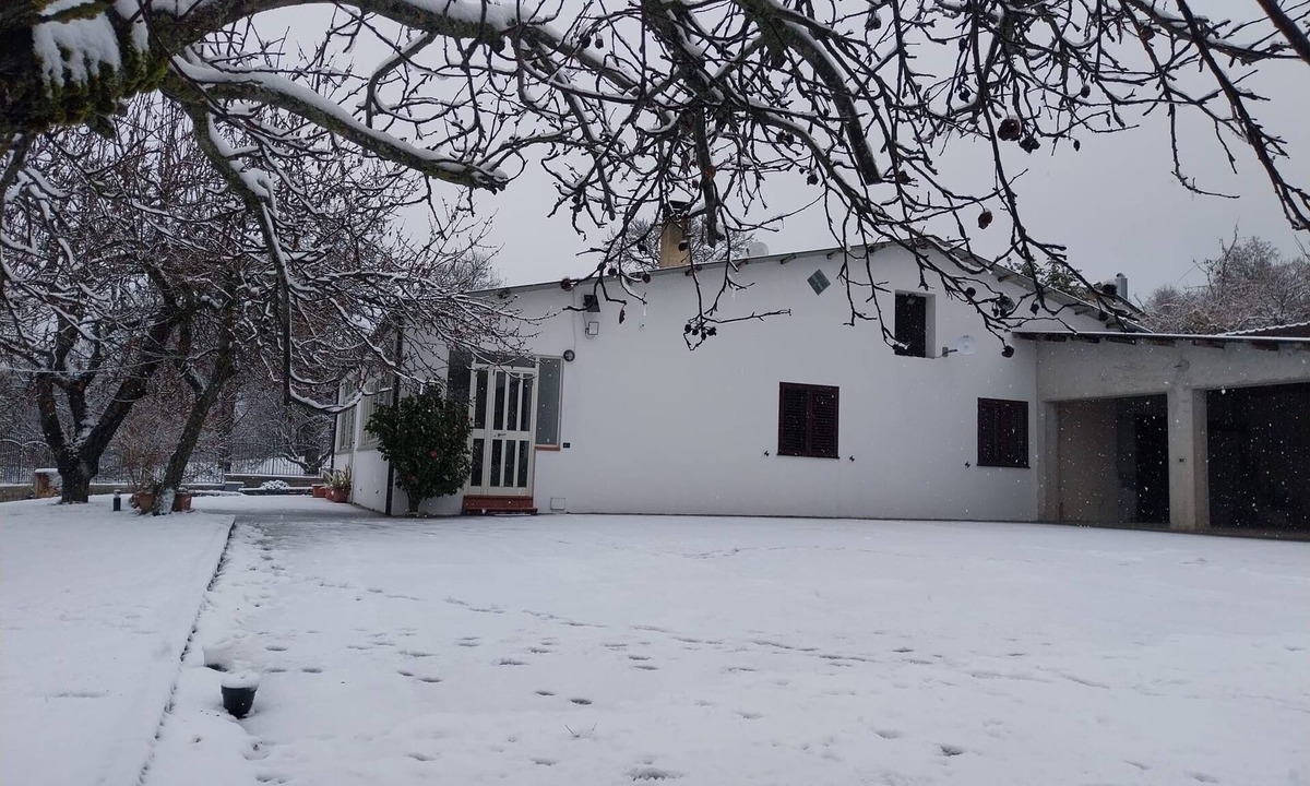 Rose Villa | Detached cottage among the pines of Sila (CS)