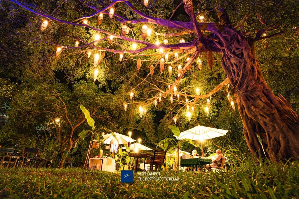 Kampot House | Devi Kampot Resort at Phum Kampot