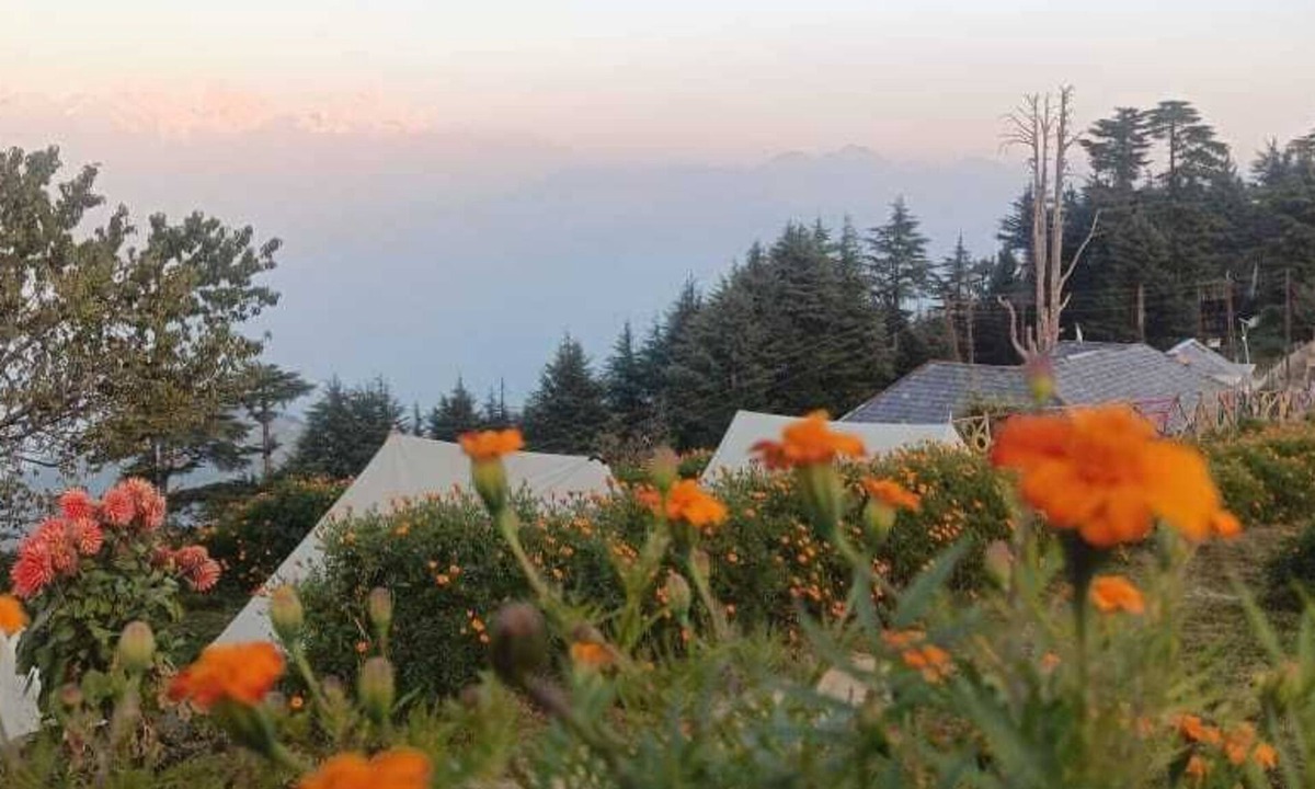 Dalhousie Cottage | DhaulaPir Adventure