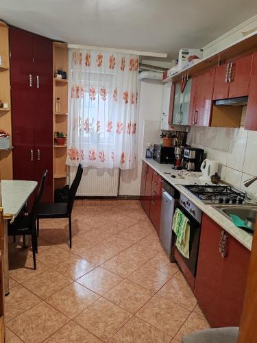 Bistrita Apartment | Diana