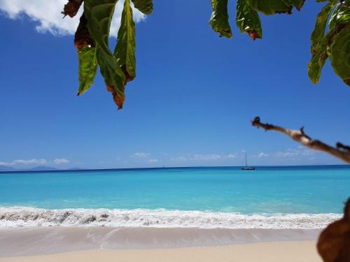 Dickenson Bay Apartment | Dickenson Bay Oasis at Antigua Village