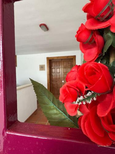 Pomarico Bed & Breakfast | Dimora dei Nonni