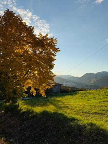 Cascia Apartment | Dimora Gubbiano