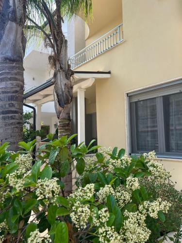 Policoro Apartment | Dimora Patio
