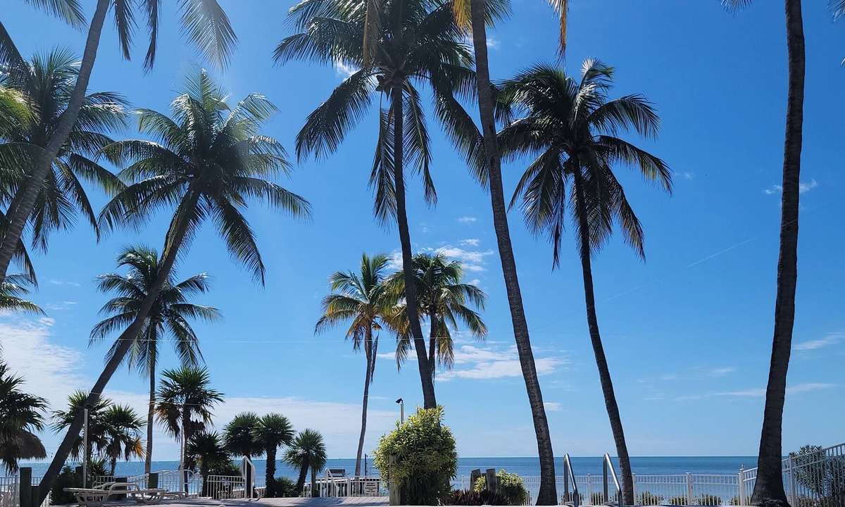 Florida Keys House | Direct Oceanfront with beach and pool