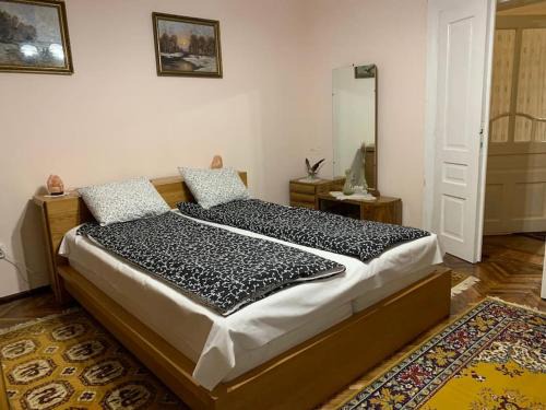 Sacele House | Dodo House