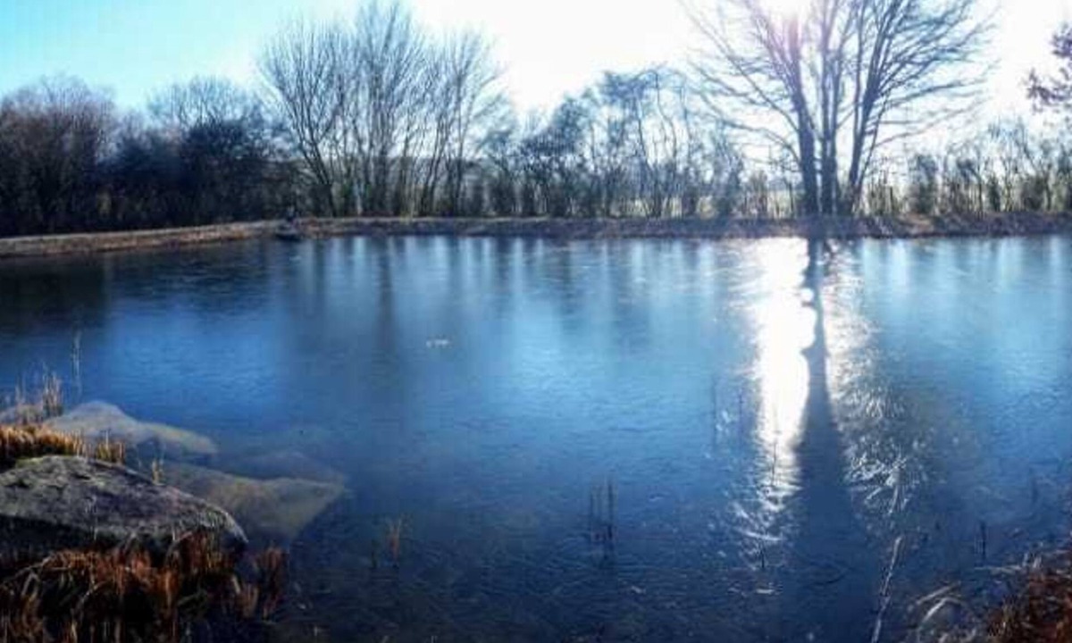 Crailsheim House | Dog-friendly vacation home with lake, 3000m² fenced park, panoramic sauna and fireplace