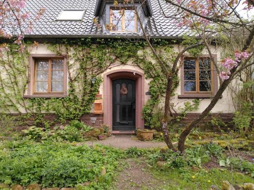 Dohm-Lammersdorf Apartment | Dolcefarniente