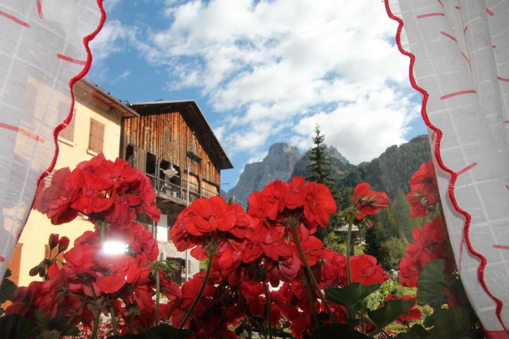 Pescul Apartment | Dolomites Holidays