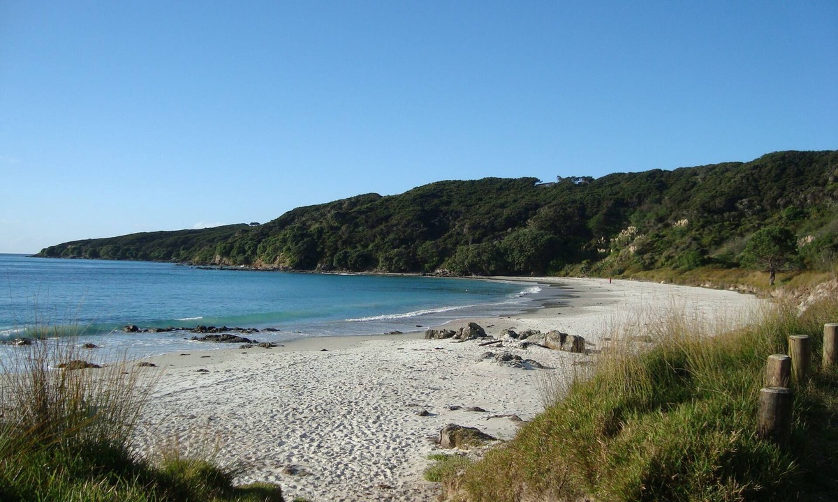 Merita House | Dolphin View - Nature at her Best