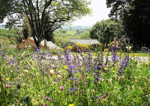 Saint-Germain-du-Teil Bed & Breakfast | Domaine des Maréquiers chambre Mélilot