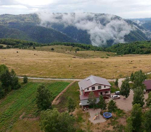 Risca Villa | Domeniul H