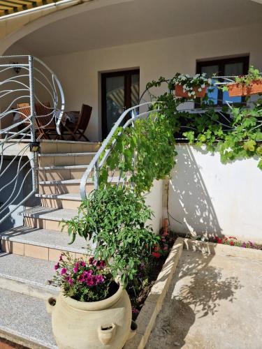 Limpiddu Apartment | Domo de Mare