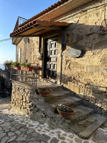Lustra House | Domus Petra