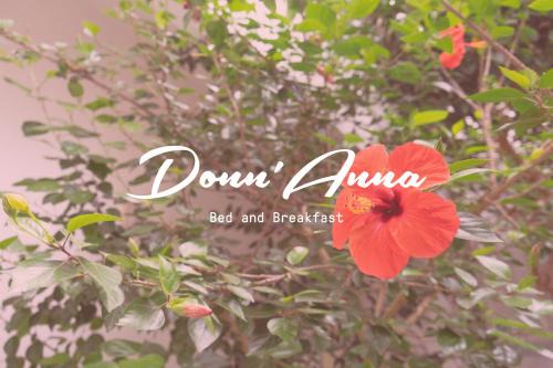 Squinzano Bed & Breakfast | Donn'Anna B&B