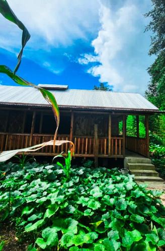 Itanagar Hostel | Dorm and Rooms for Ziro Music Festival