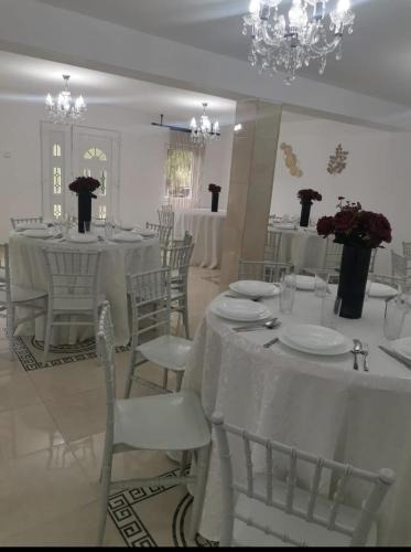 Copalnic-Manastur Villa | Dory Home