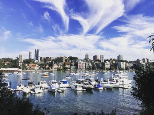 Double Bay Apartment | Double Bay Harbour-front apartment with stunning views