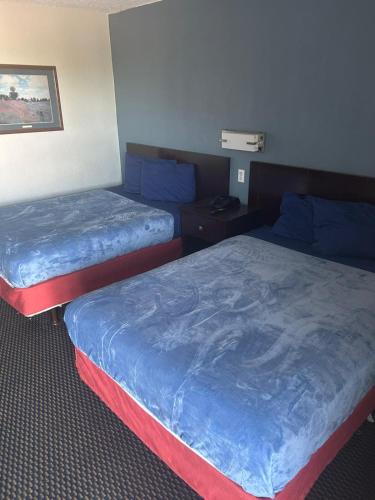 Amarillo Apartment | Double Bed Hotel Room 305