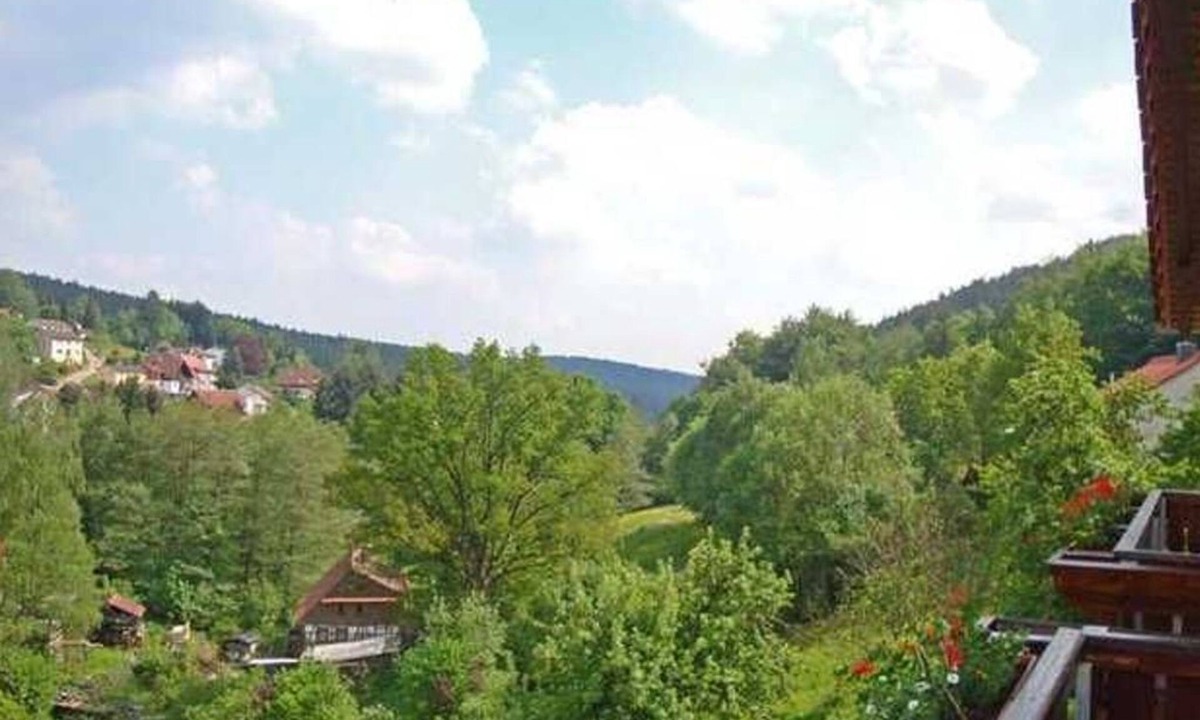 Beerfelden Bed & Breakfast | Double Room with Balcony 1 - Gasthaus Zum Pälterwald