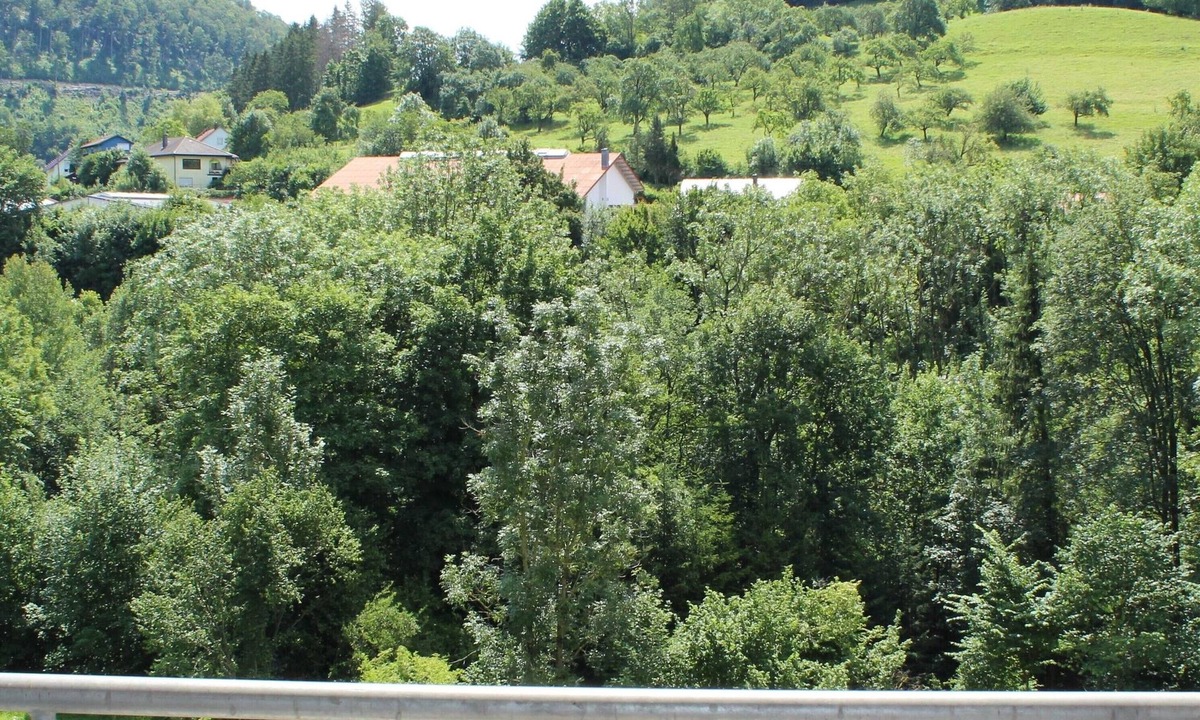 Weissenstein Apartment | Double room with shower and WC