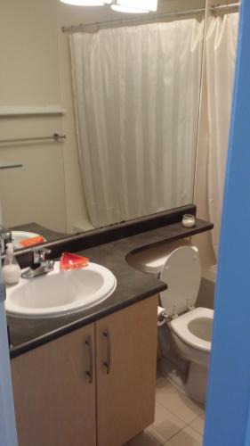 Coal Harbour House | Downtown Vancouver Private Guest Room