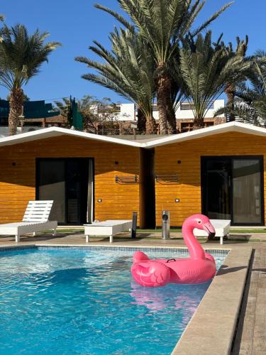 Dahab Hotel | Downtown village
