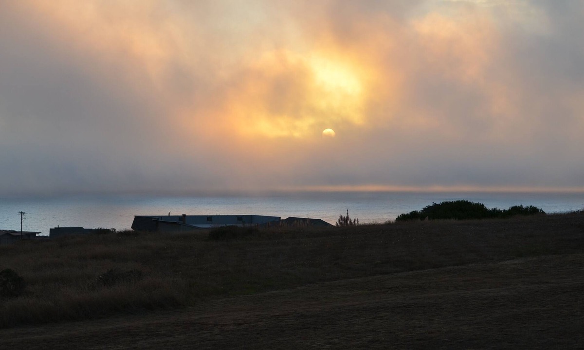 Bodega Bay House | Dramatic Pacific Ocean Views From Every Window! See 7 Night Specials