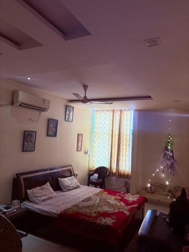 Malviya Nagar Apartment | Dream Dwells