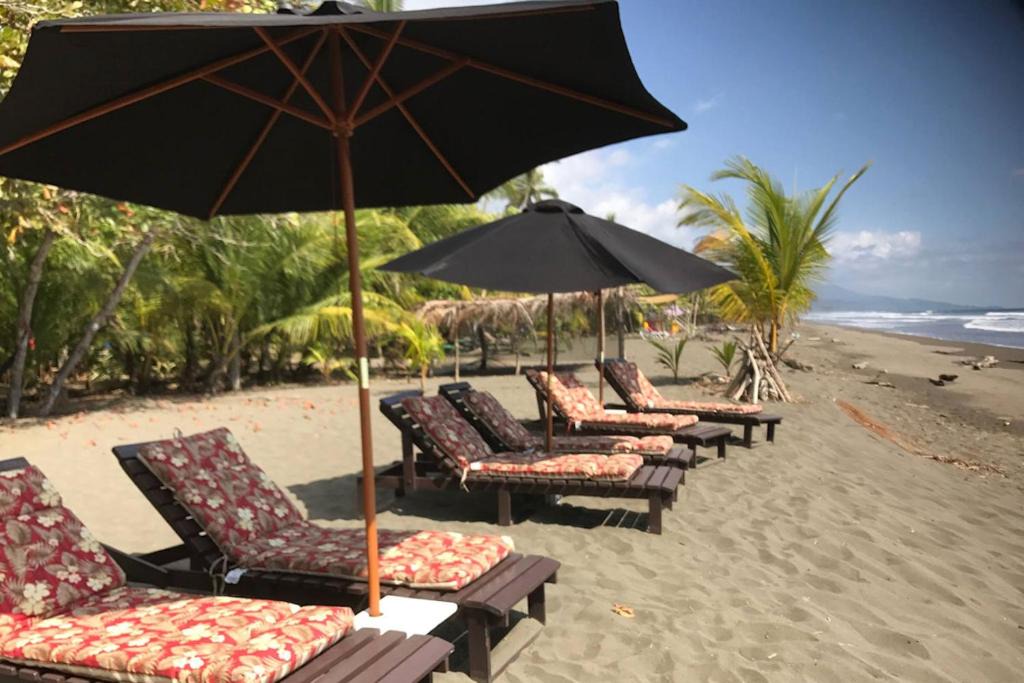 Playa Matapalo Bed & Breakfast | Dreamy Contentment