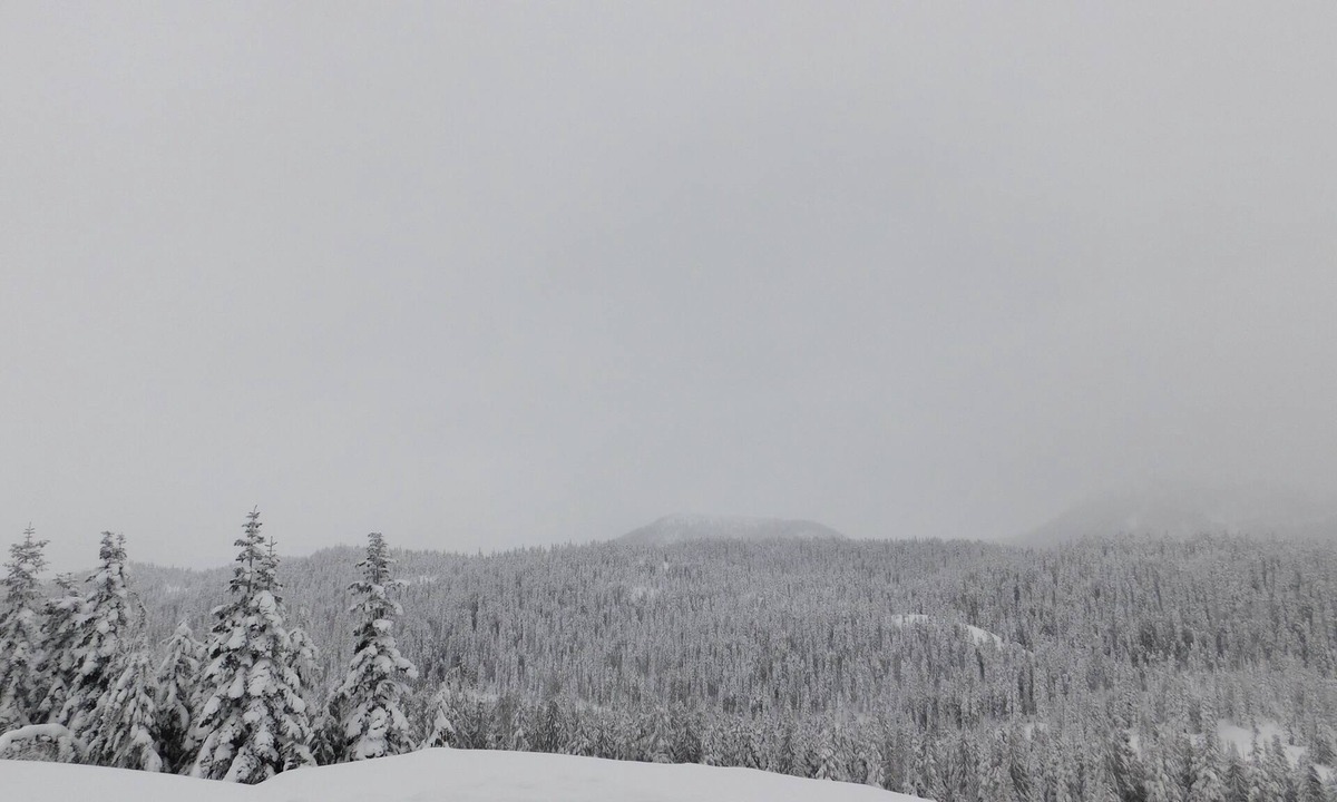 Courtenay Apartment | Drive Up Condo - Walk to Mount Washington