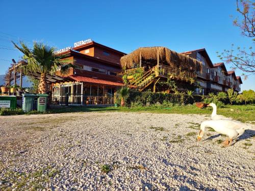 Demre Apartment | Dufa Bungalow Hotel