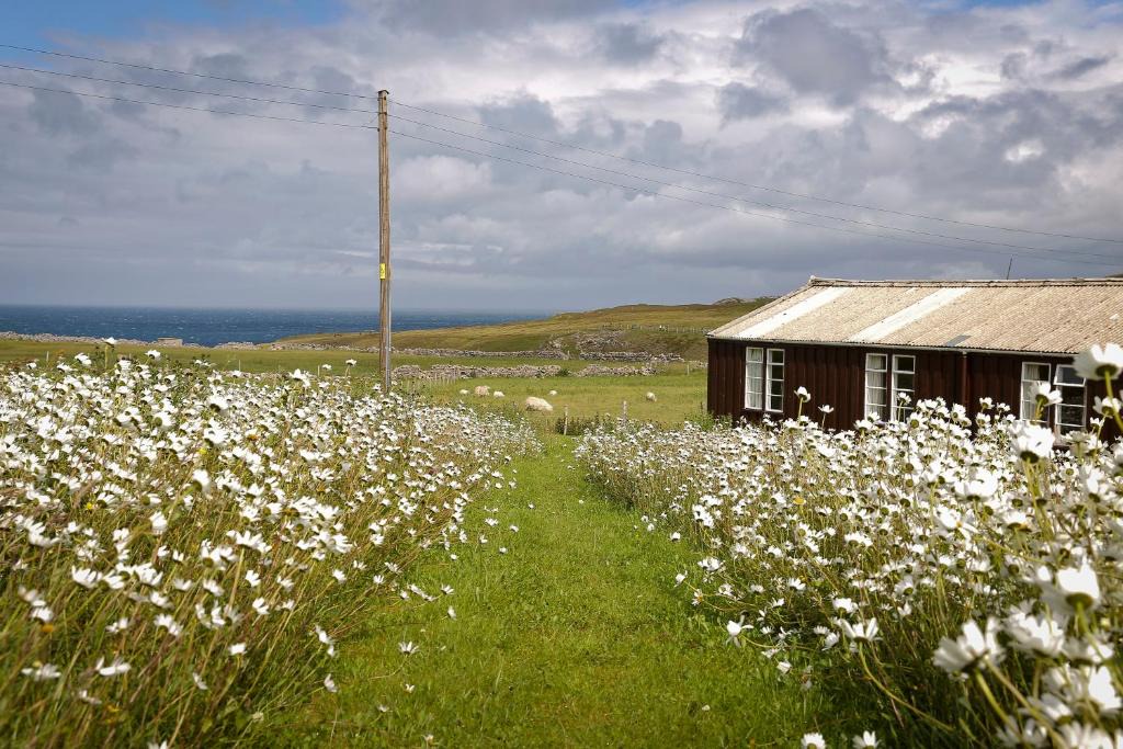 Sangomore Hostel | Durness Youth Hostel