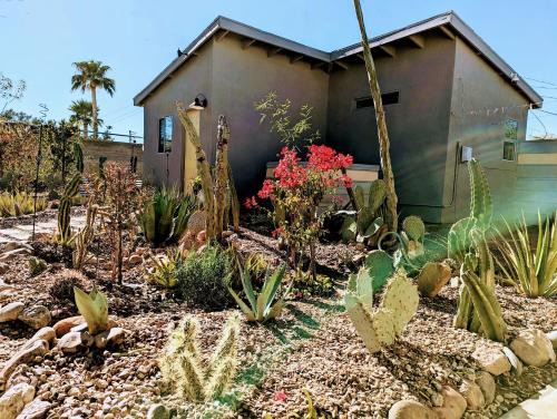 Tucson House | Early Birds
