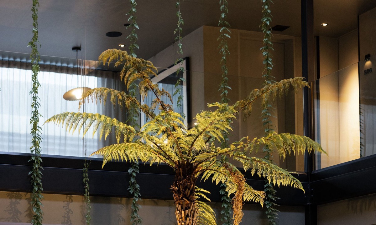 Dunedin City Centre Hotel | Ebb-Dunedin