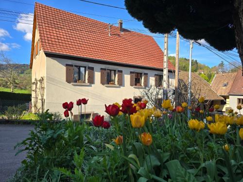 Breitenbach-Haut-Rhin Apartment | Echappée Verte