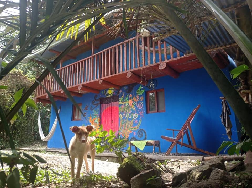 Cuispes Hostel | Eco Albergue Azul