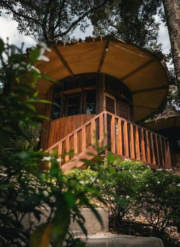 Bohorok Other | Eco Conservation Landak Luxury Tents