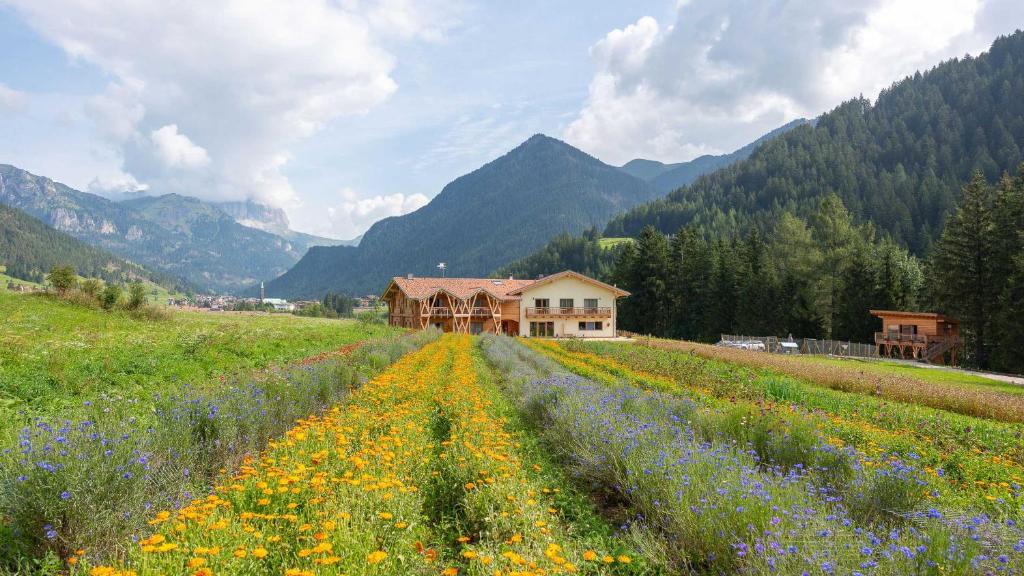 Vigo di Fassa House | Eco-Green Fiores Agriturismo