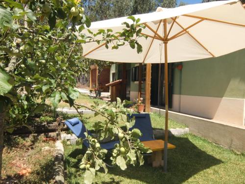 Nadadouro House | Ecobosque