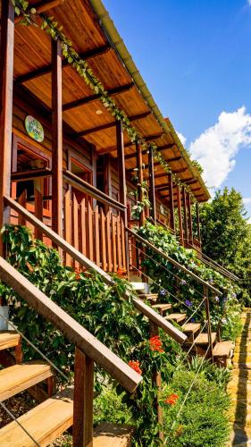 Curiti Hotel | Ecodreamers Curiti